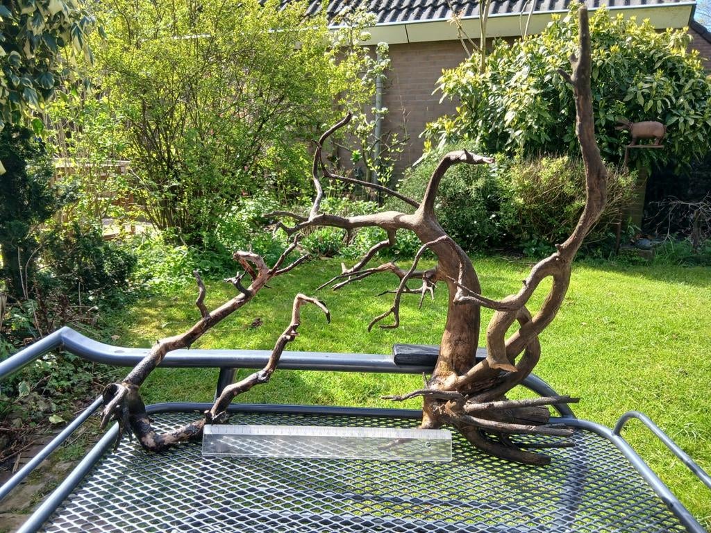 Aquarium hout, Dieren en Toebehoren, Ophalen, Gebruikt, Plant(en), Steen of Hout