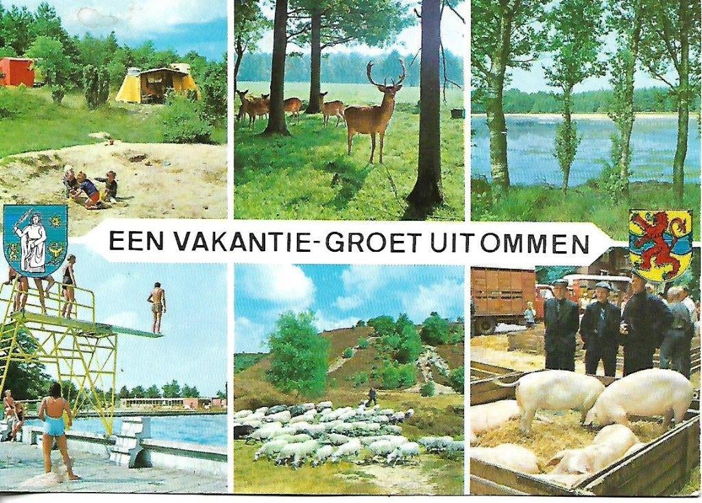 Ommen- -6-luik., Verzenden, 1960 tot 1980, Gelopen, Overijssel