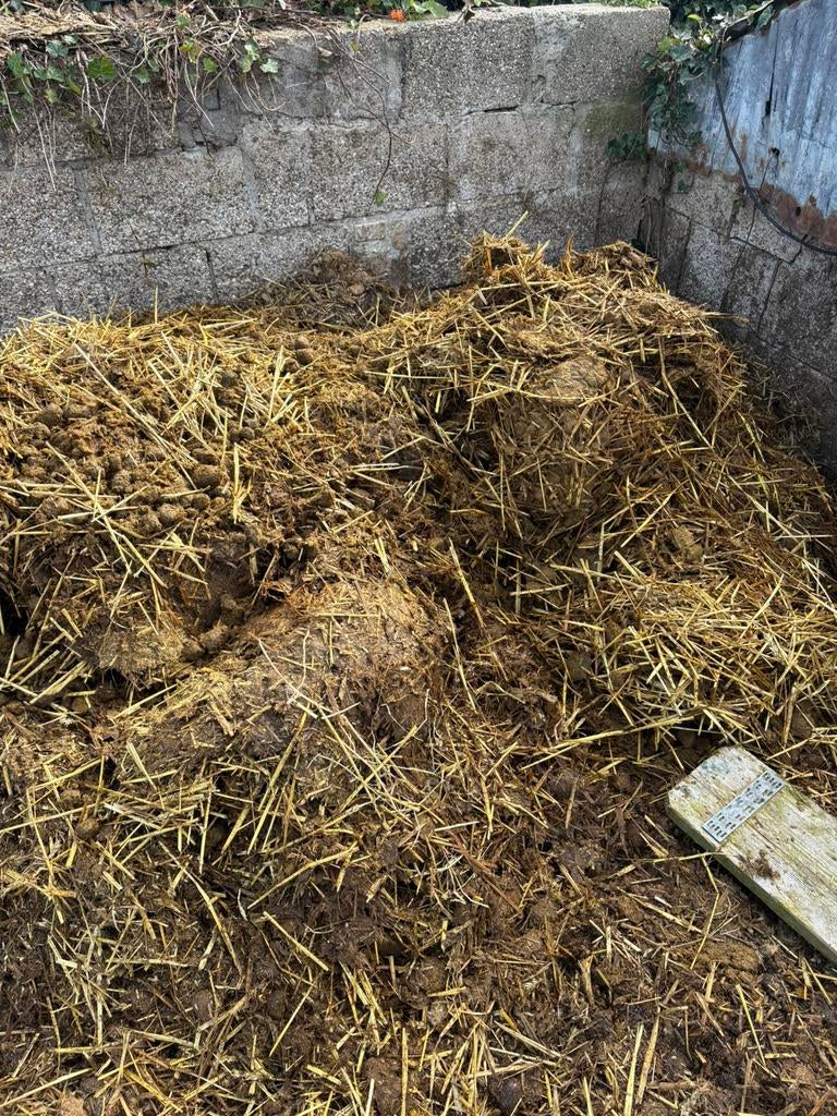 Stromest paardenmars, Dieren en Toebehoren, Ophalen, Vee