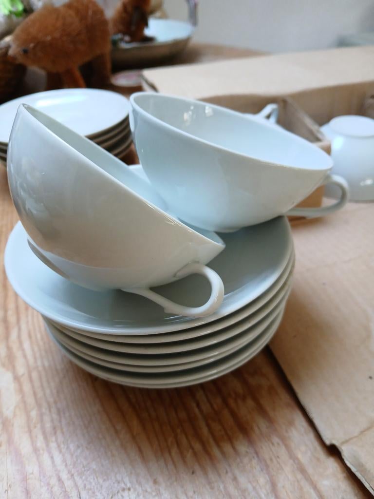 Theekopjes 12 stuks, Ophalen of Verzenden