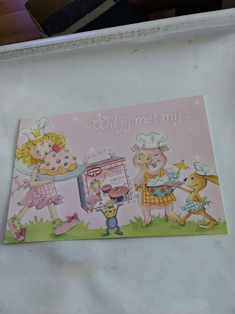 WIL JIJ MET MIJ  PRINSES LILLIFEE CAKEJES BAKKEN, Ophalen of Verzenden
