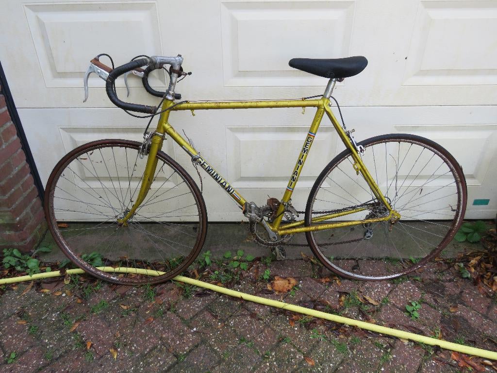 vintage geminiani special wielrenfiets, Overige merken, Gebruikt, Ophalen of Verzenden, 10 tot 15 versnellingen