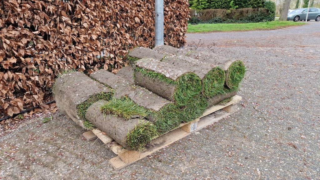 10 verse grasmatten van 50x100 cm, Tuin en Terras, Gras en Kunstgras, Ophalen