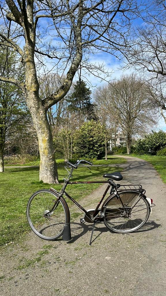 Gazelle herenfiets opafiets bruin vintage populair, Fietsen en Brommers, Fietsen | Oldtimers, Ophalen of Verzenden, Jaren '60 of nieuwer