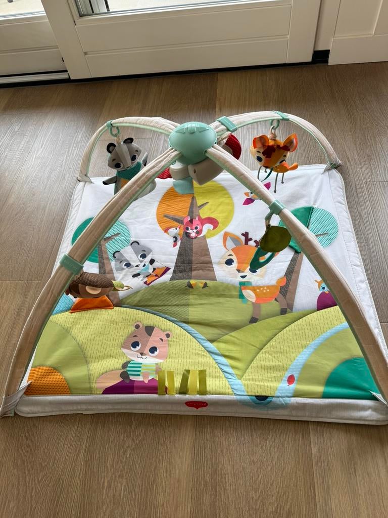 Tiny Love speelkleed babygym met licht/muziekmobiel, Ophalen of Verzenden, Gebruikt