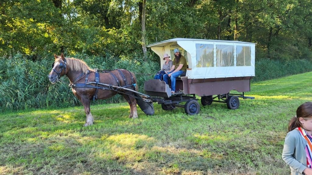 Te koop aangeboden: Huifkar, Dieren en Toebehoren, Gebruikt, Overige typen, Paard