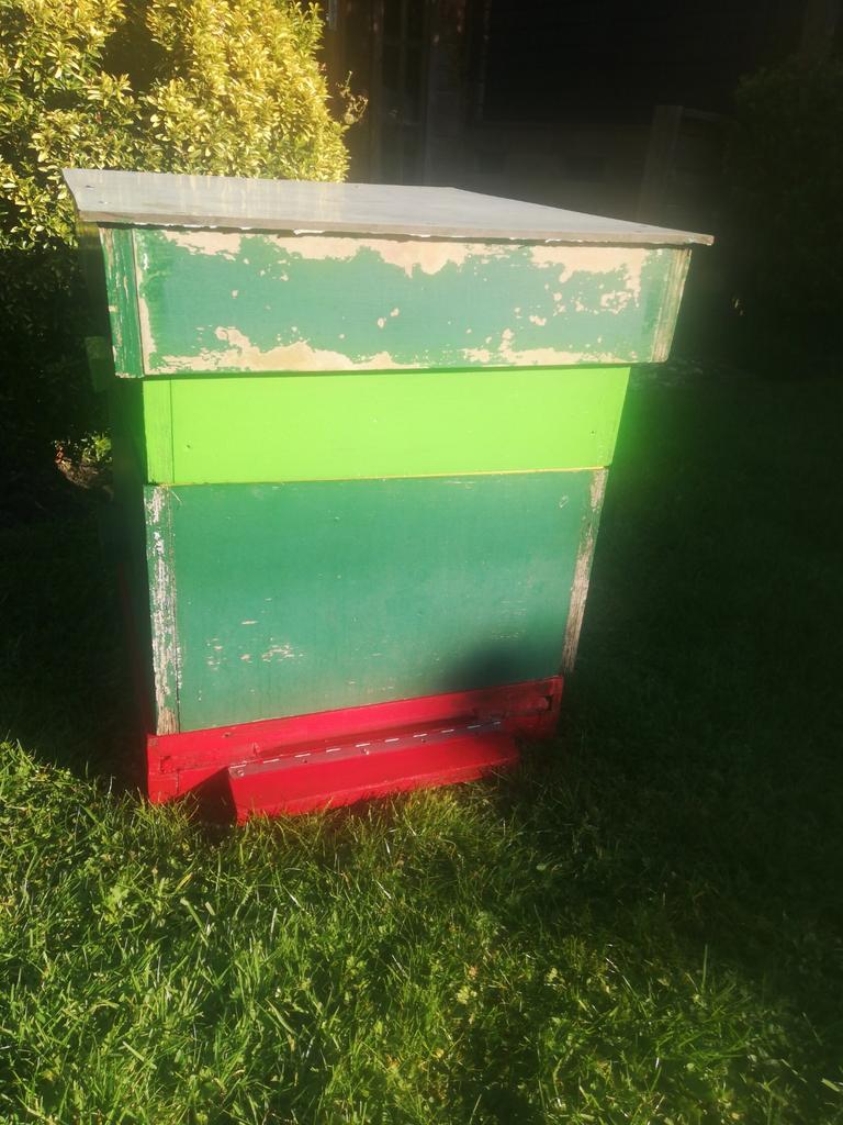 Bijenkast, spaarkast, Bijen