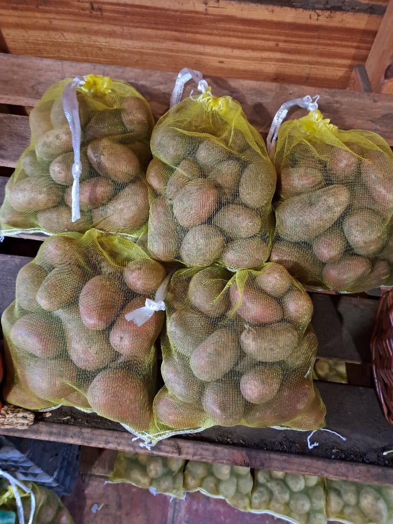 onbespoten alouette aardappelen te koop. 20, Ophalen