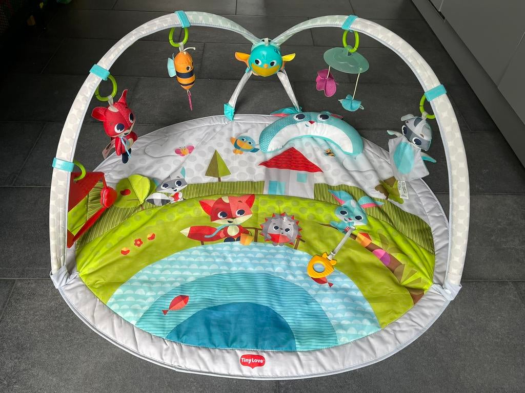 Tiny Love Dynamic Gymini - Meadow Days, Ophalen of Verzenden, Zo goed als nieuw