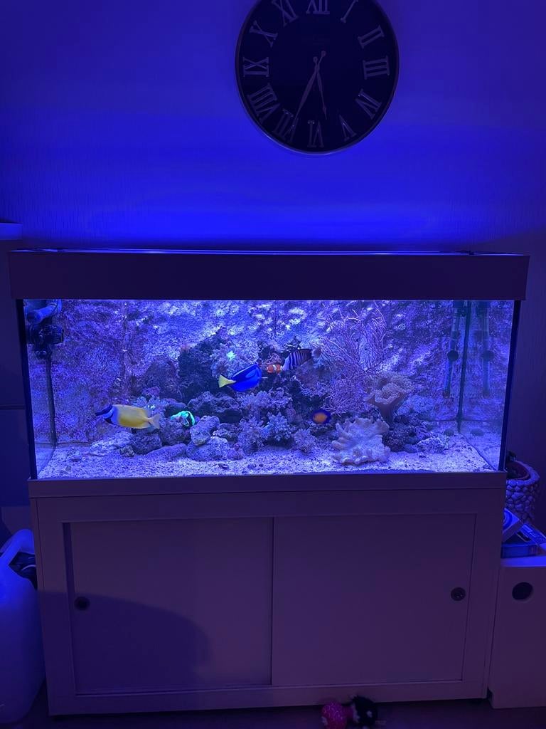 Compleet aquarium, Dieren en Toebehoren, Ophalen of Verzenden, Zo goed als nieuw, Leeg aquarium