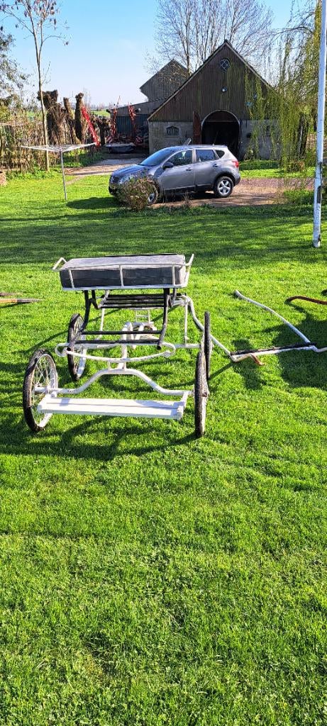 Paard en ponywagens, Dieren en Toebehoren, Rijtuigen en Koetsen, Gebruikt, Overige typen, Paard of Pony