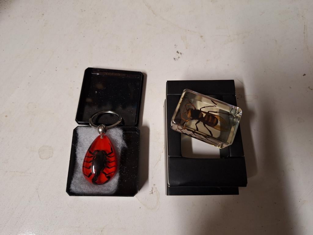 Insecten in hars - Scorpions en wespen, Verzamelen, Dierenverzamelingen, Ophalen of Verzenden, Zo goed als nieuw, Insect, Beeldje of Figuurtje