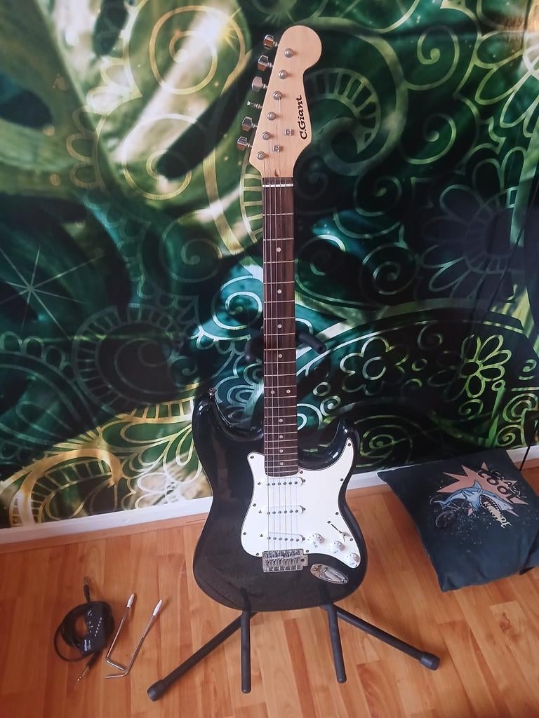 C.giant gitaar plus accesouares, Muziek en Instrumenten, Ophalen of Verzenden, Zo goed als nieuw, Klassieke of Spaanse gitaar