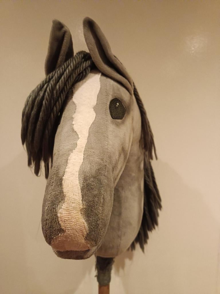 Mooie schimmel hobby horse te koop!, Ophalen of Verzenden, Zo goed als nieuw