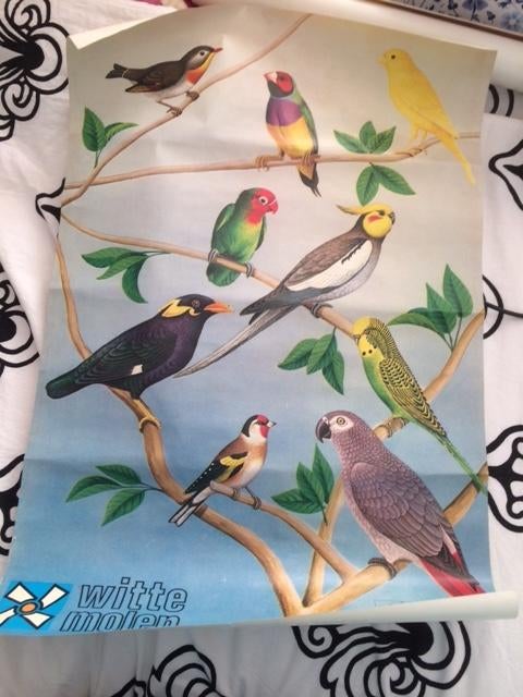 vogel reclame poster de witte molen jaren 70 80, Ophalen of Verzenden, Gebruikt, A1 t/m A3, Dier of Natuur