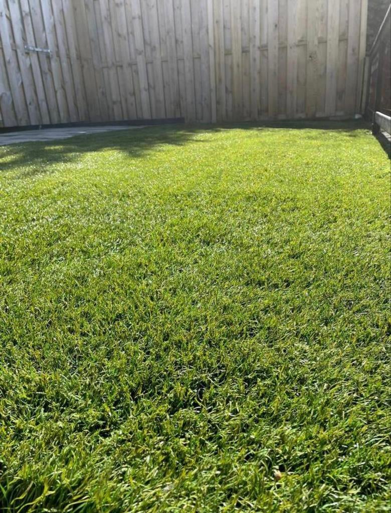 Topkwaliteit kunstgras 3 x 4 m (12m2), Tuin en Terras, Gras en Kunstgras, Ophalen, Zo goed als nieuw