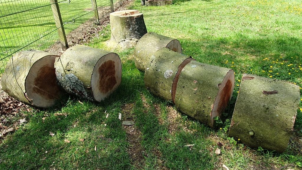 Beuken hakblok , kloofblok , plantenzuil , spijkerblok, Tuin en Terras, Minder dan 3 m³, Ophalen, Beukenhout, Stammen