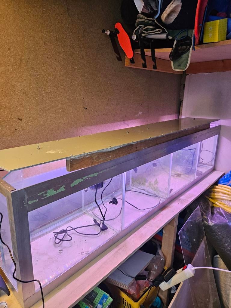 Kweekbak / Aquarium - 170x30x30 cm, Ophalen, Gebruikt