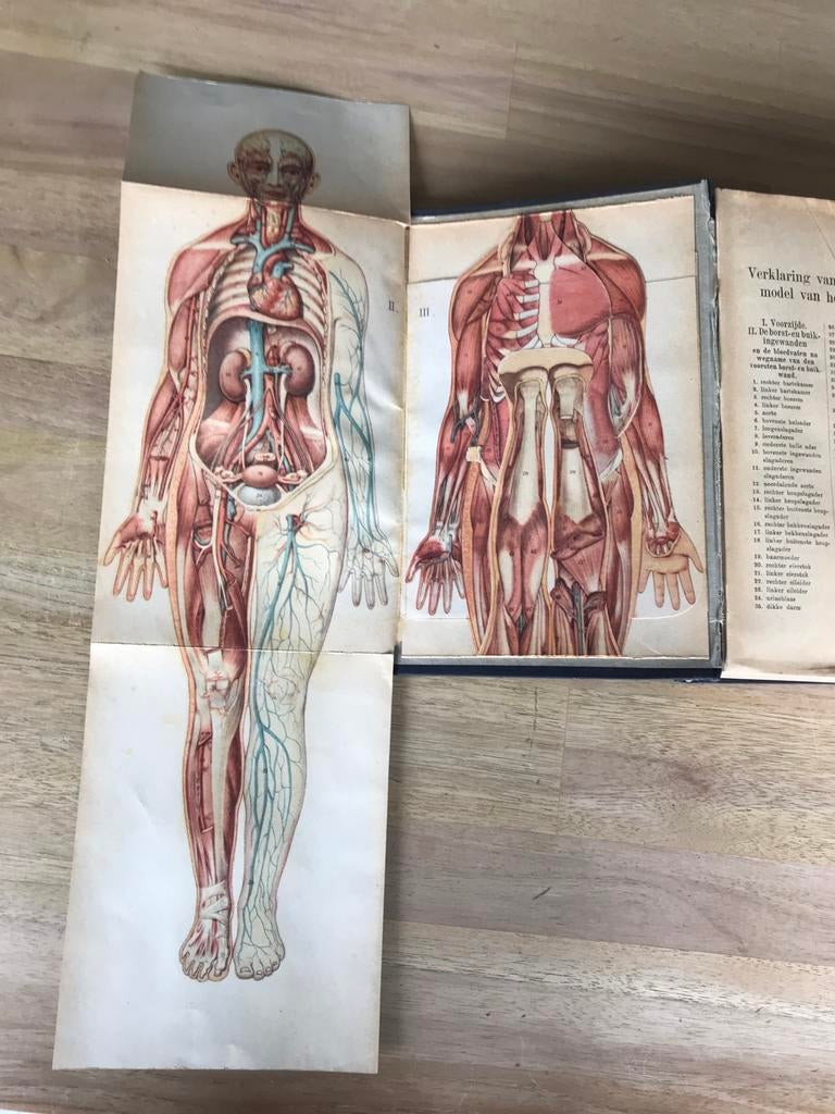 Bilz, de nieuwe natuurgeneeswijze, Ophalen, Gelezen