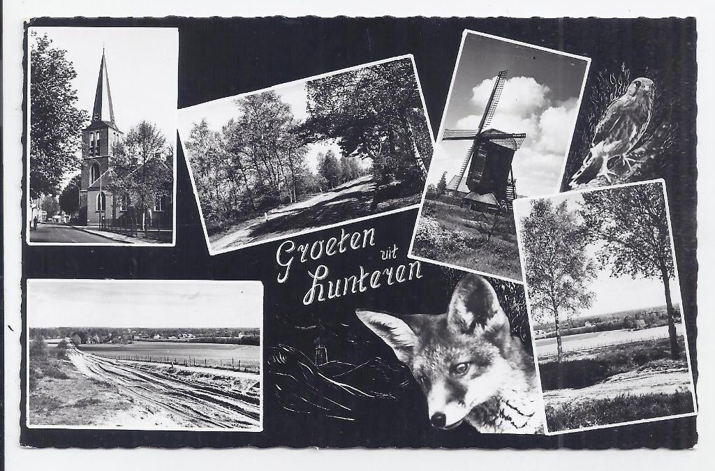 Theehuis de Lunterse boer Oude ongelopen ansichtkaart B727, Ophalen of Verzenden, 1960 tot 1980, Ongelopen