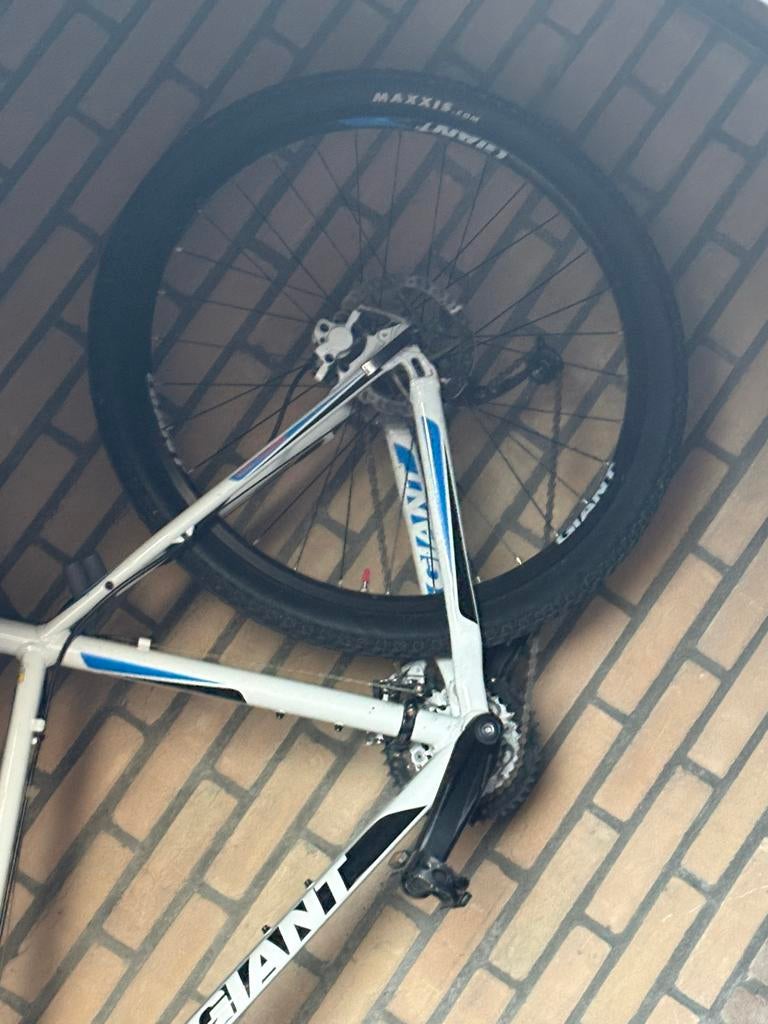 Giant Talon mountainbike frame met wiel, Fietsen en Brommers, Fietsen | Mountainbikes en ATB, Hardtail, Heren, Zo goed als nieuw