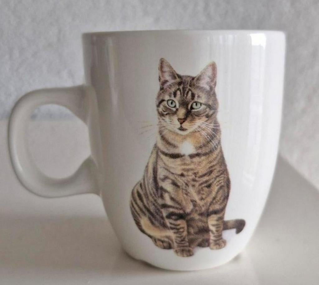 Senseokopje Francien, Ophalen of Verzenden, Zo goed als nieuw, Porselein, Kop en/of schotel