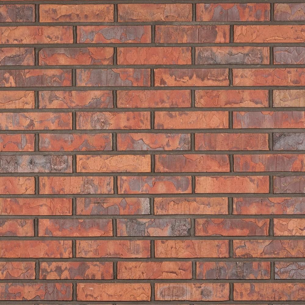 Nieuwe metstelstenen EEMS WF 0081 rood paarsblauw 800 stuks, Ophalen, Nieuw, Bakstenen