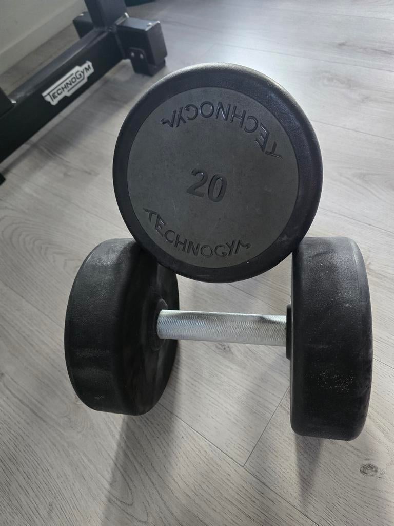 Technogym Dumbellset 20 kg, Ophalen, Gebruikt, Rug, Dumbbell