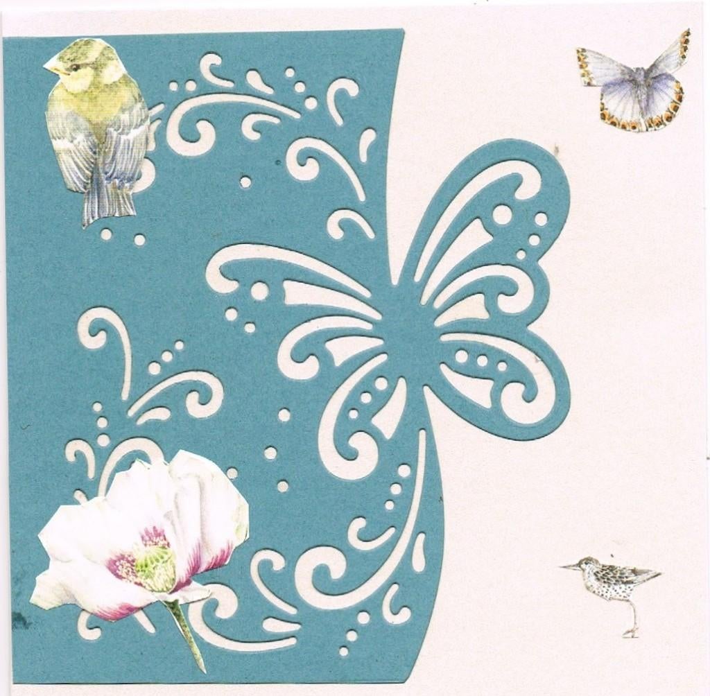 vlinderkaart, Ophalen of Verzenden, Nieuw, Dieren