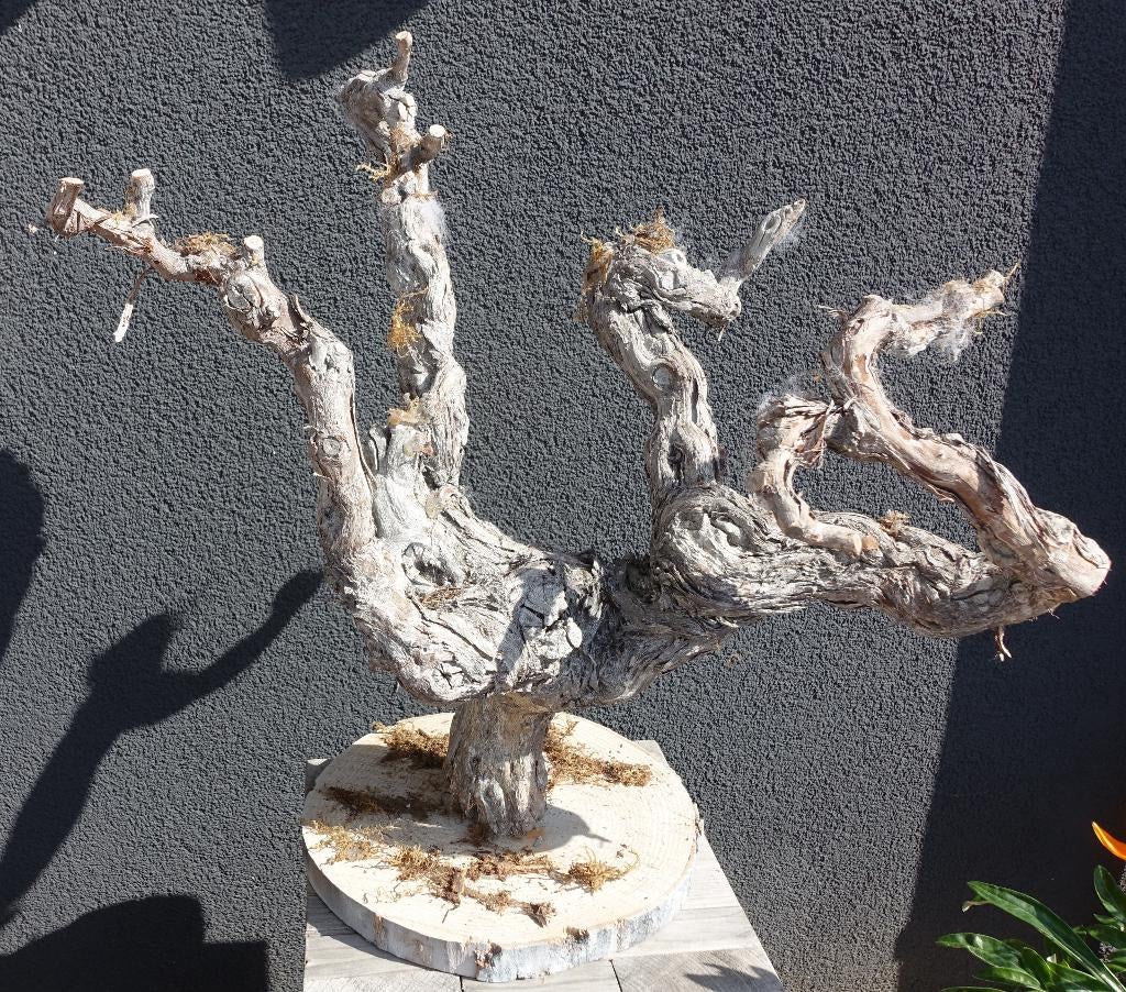 decoratiestam  op houten voet - slechts 1 kerst gebruikt, Ophalen of Verzenden, Zo goed als nieuw