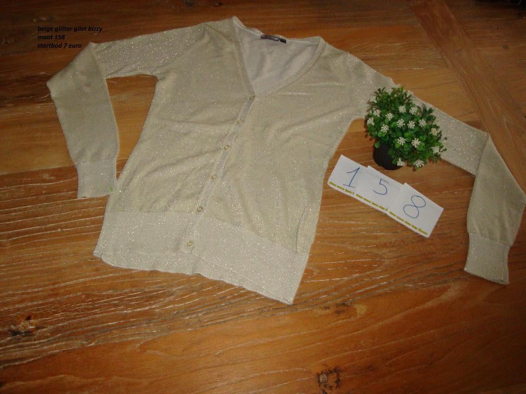 beige glitter gilet bizzy, Meisje, Trui of Vest, Ophalen of Verzenden, Zo goed als nieuw
