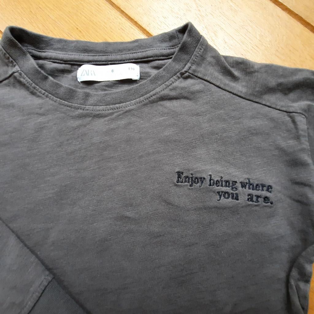 Zara t- shirt lange mouw donker grijs maat 116 - nieuw -, Kinderen en Baby's, Kinderkleding | Maat 116, Nieuw, Jongen, Shirt of Longsleeve