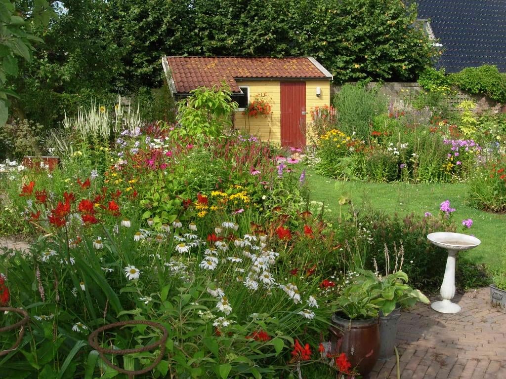 tuinplanten planten, Ophalen, Overige soorten, Halfschaduw