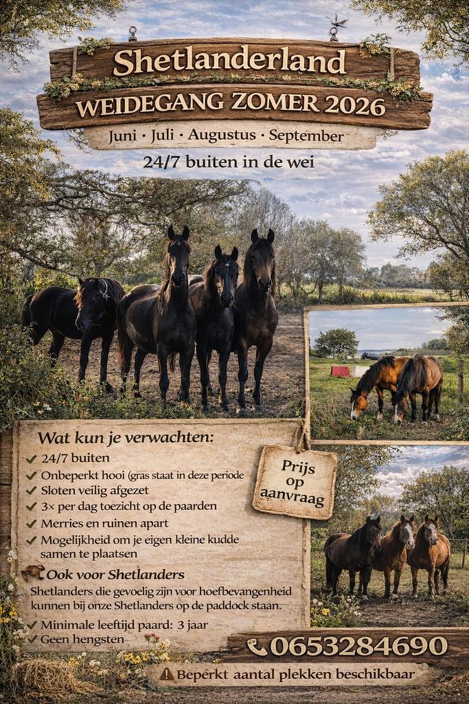 24/7 Zomer weidegang voor paarden en ponys, Dieren en Toebehoren, Weidegang, 4 paarden of pony's of meer