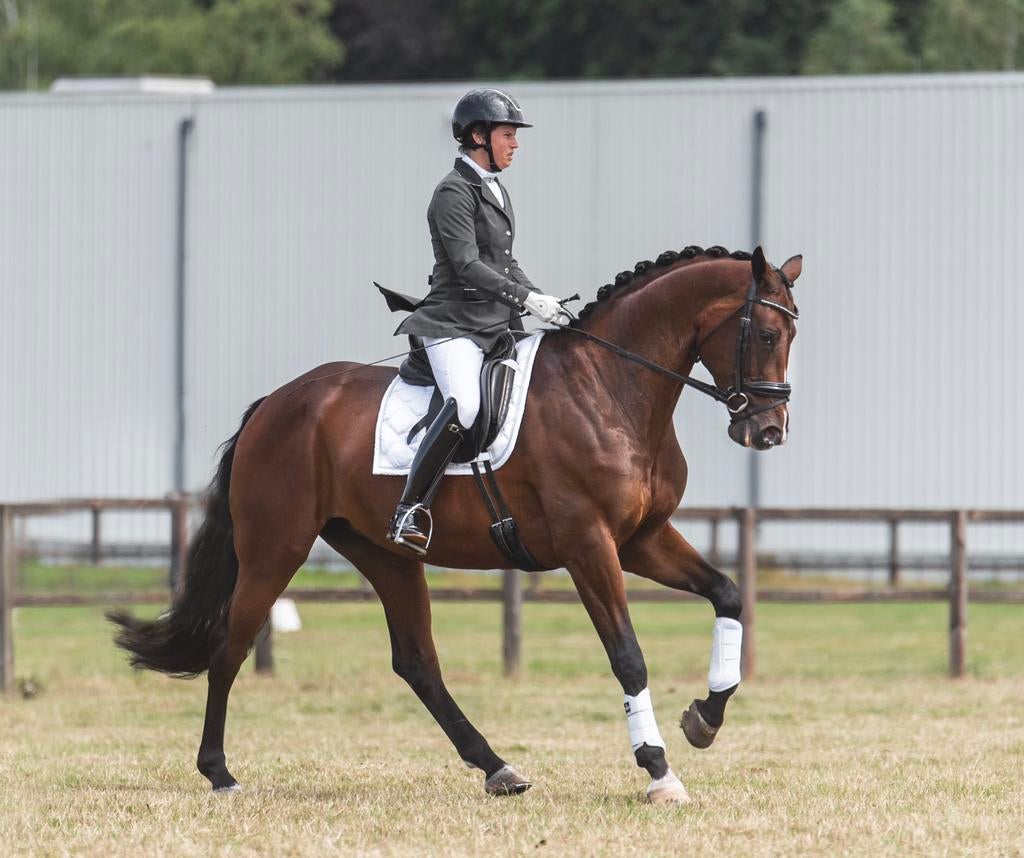 Allround instructie | paardrijles | dressuur | proefgericht, Paardrijles of Ponykampen