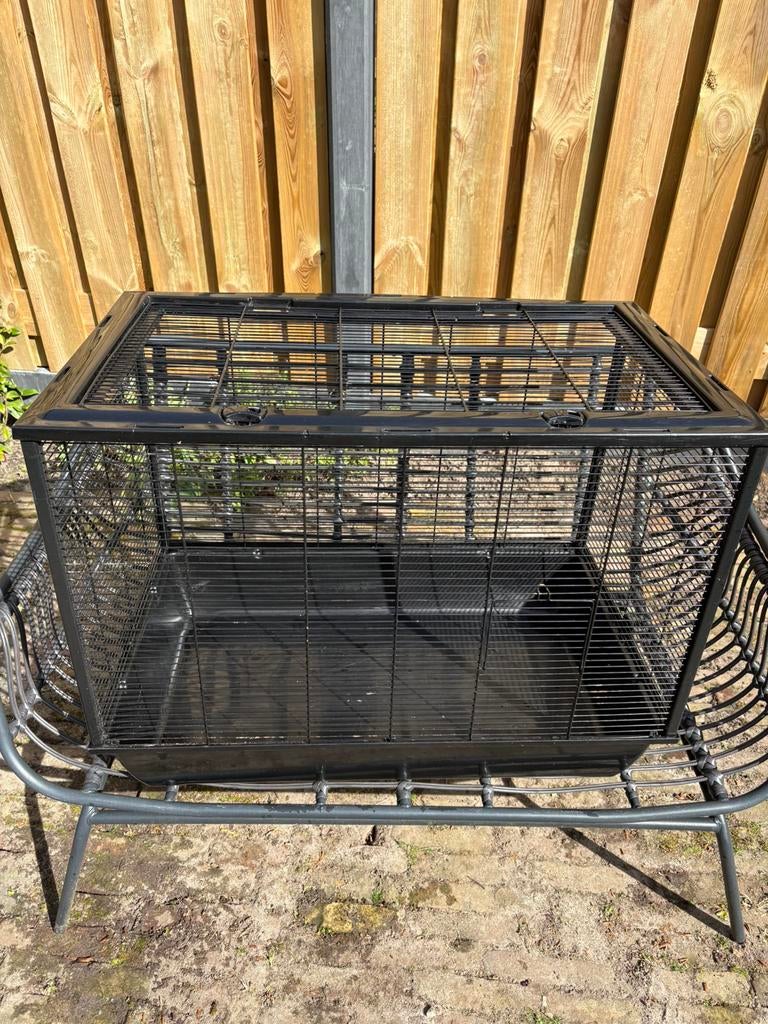 Knaagdierenkooi, Dieren en Toebehoren, Knaagdieren en Konijnen | Hokken en Kooien, Kooi, Gebruikt, 75 tot 110 cm, Ophalen