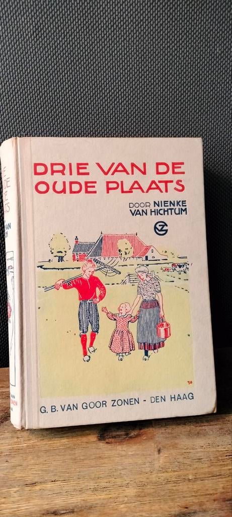 Drie van de oude plaats, Ophalen of Verzenden, Gelezen, Nienke van Hichtum, Fictie