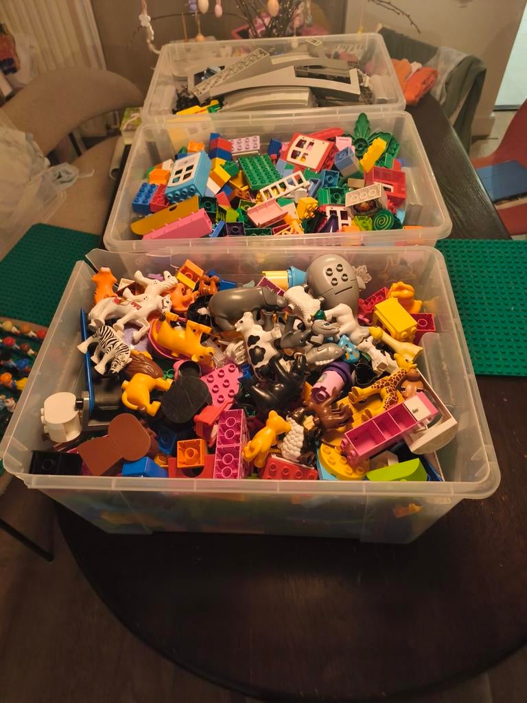 Grote partij Duplo met trein, dieren en figuren. Ruim 25kg., Ophalen, Duplo
