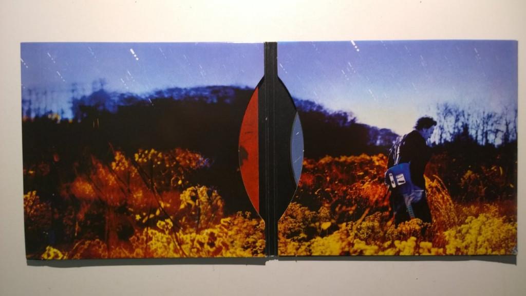 Bruce Springsteen - Working On A Dream, Ophalen of Verzenden, Zo goed als nieuw, Poprock