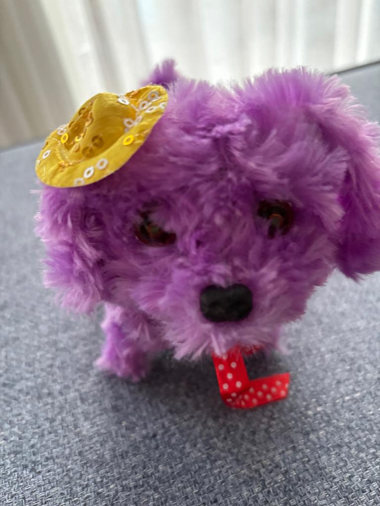 Hond paars kan lopen, Ophalen, Zo goed als nieuw, Hond