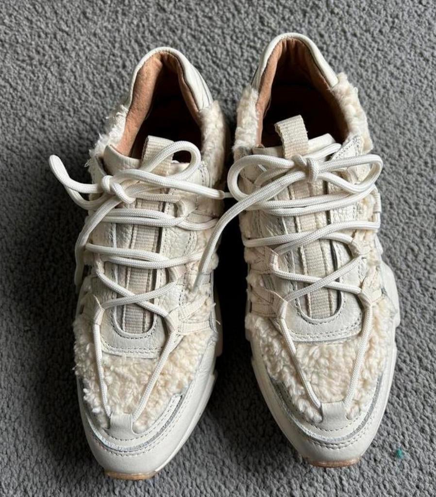 Mooie witte teddy dwrs sneakers maat 39, Kleding | Dames, Schoenen, Ophalen of Verzenden, Zo goed als nieuw, Wit, Sneakers of Gympen