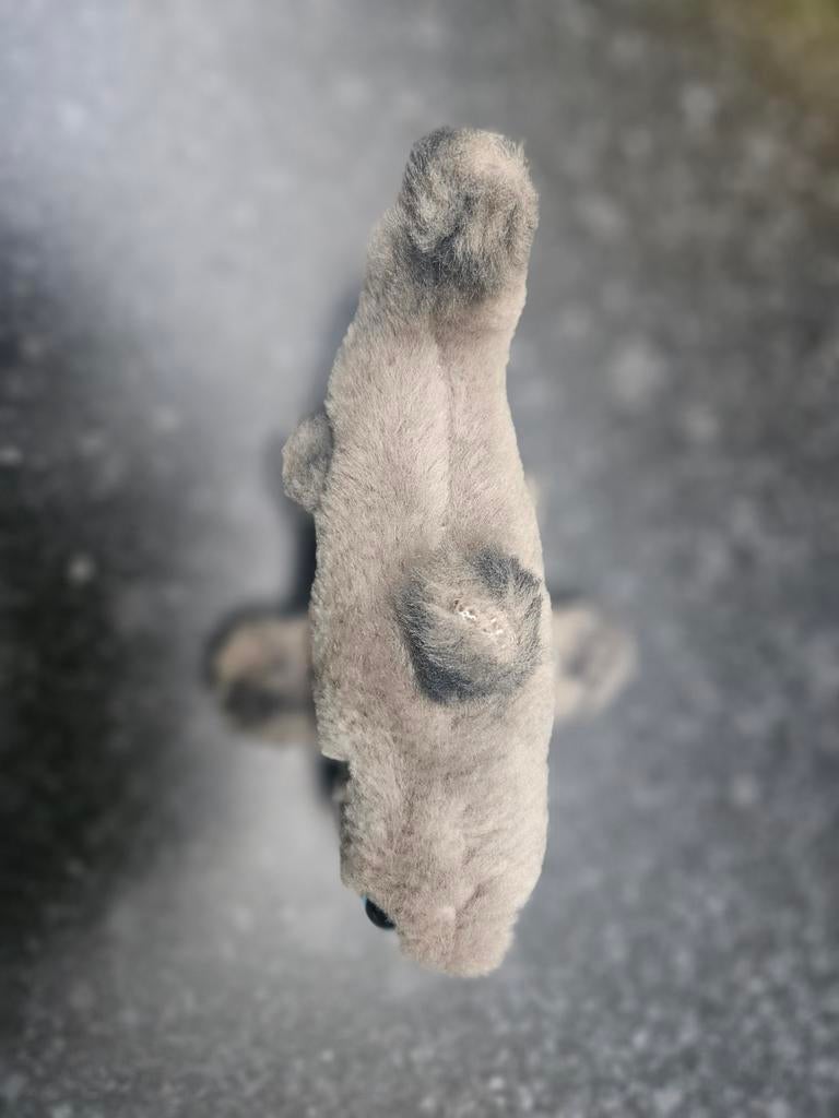 Haai Knuffeltje, Ophalen of Verzenden, Zo goed als nieuw, Overige typen