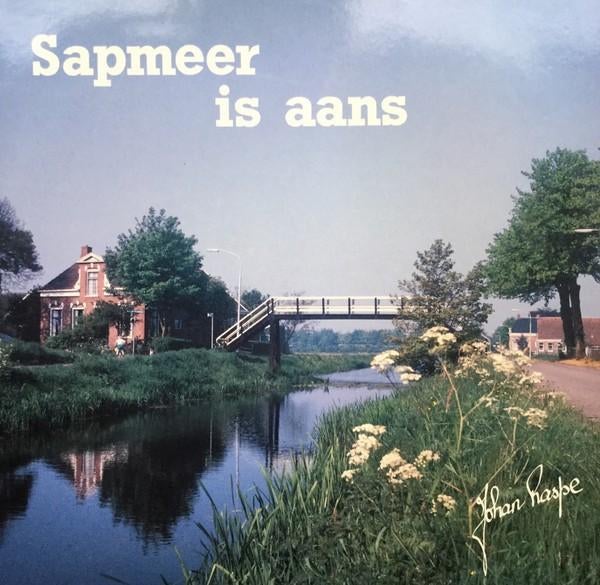 Lp johan raspe gezocht, Cd's en Dvd's, Ophalen of Verzenden, Zo goed als nieuw, Overige formaten, Levenslied of Smartlap