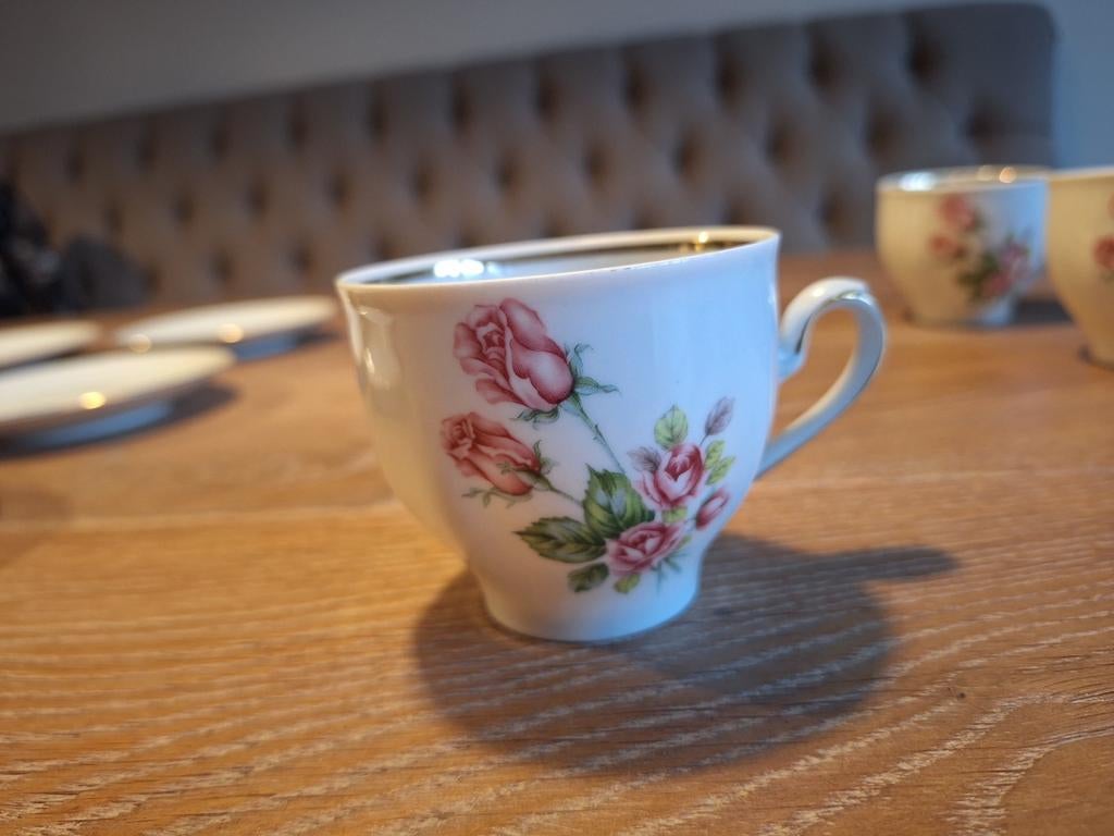 6 Vintage Mitterteich Bavaria porseleinen kop en schotel, Ophalen