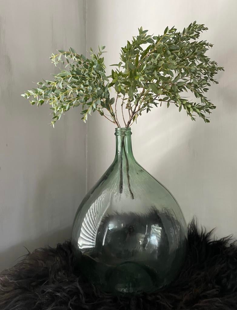 Oude groene gistfles glas fles, Ophalen