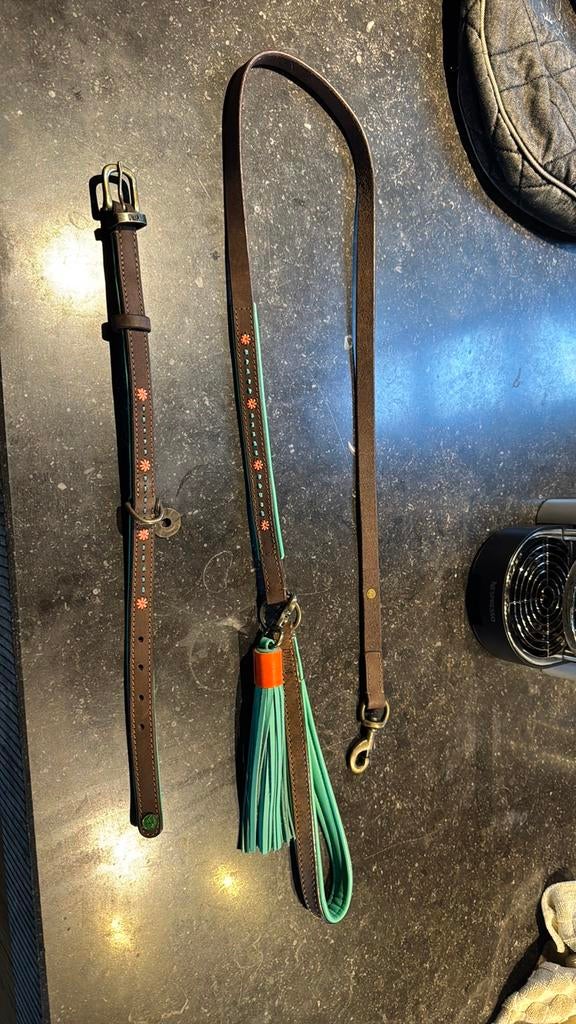 Halsband en riem dwam, Ophalen of Verzenden, Nieuw