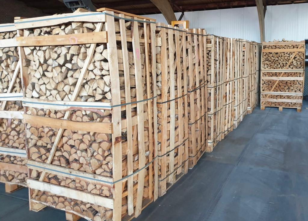 Haagbeuk / Essen / Eik / Haardhout / Brandhout / Stookhout, Tuin en Terras, Haardhout, 6 m³ of meer, Ophalen of Verzenden, Essenhout