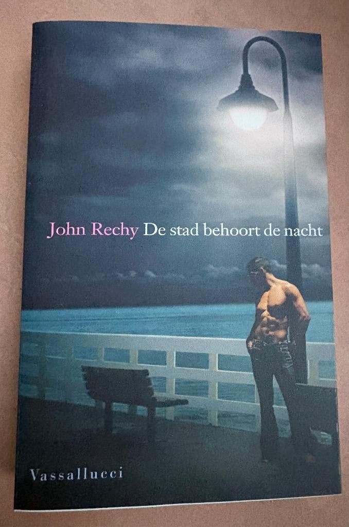 Gay klassieker 'De stad behoort de nacht' (zeldzaam), Ophalen of Verzenden, Zo goed als nieuw, Amerika, John Rechy