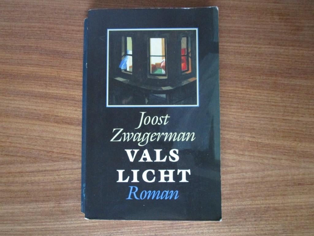 Nr.176: Boek Roman van Joost Zwagerman - Vals Licht -, Ophalen of Verzenden, Gelezen, Joost Zwagerman