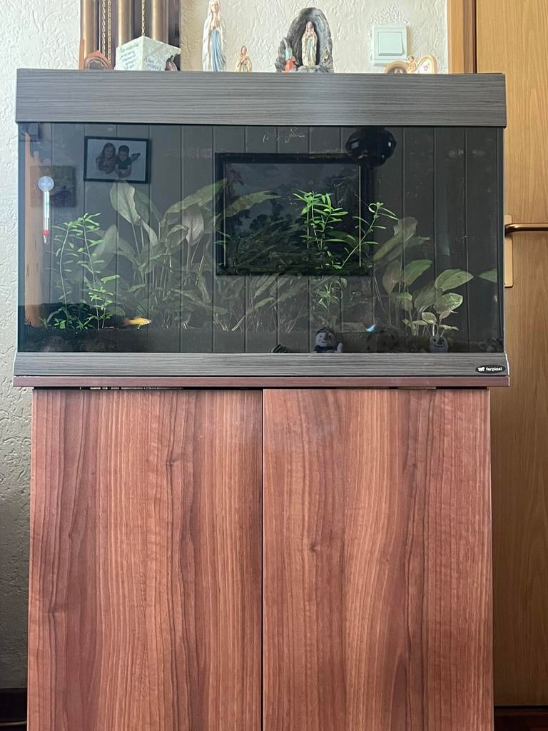 Aquarium met kast, Ophalen, Overige typen, Overige merken, Zo goed als nieuw
